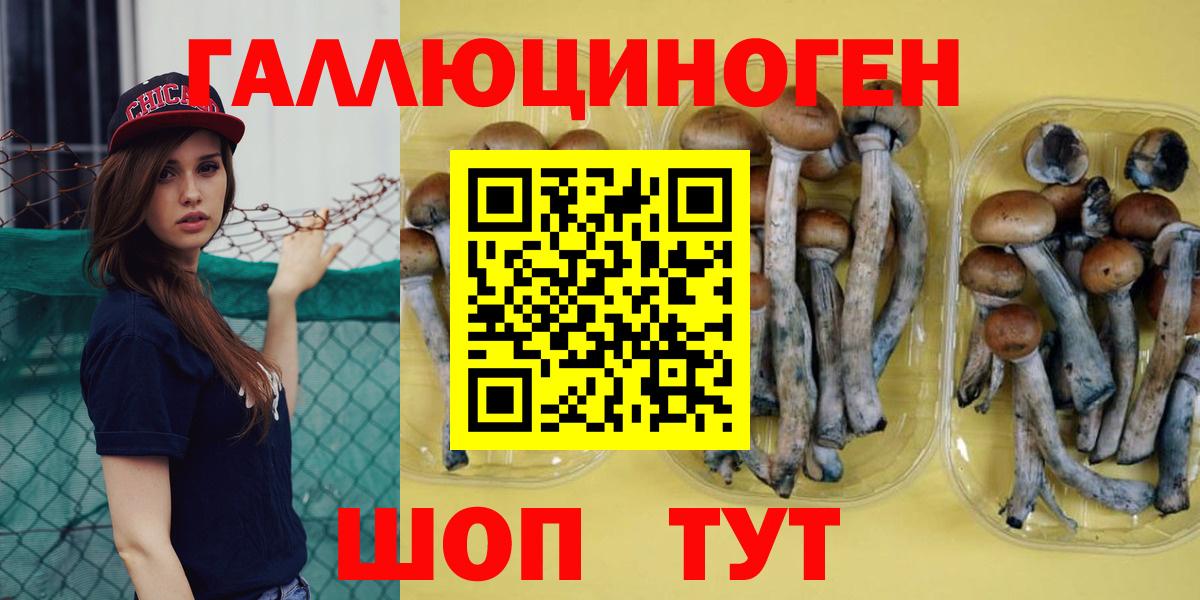 Симферополь  Псилоцибиновые грибы Magic Shrooms  Псилоцибиновые грибы Magic Shrooms  Вход с VPN 