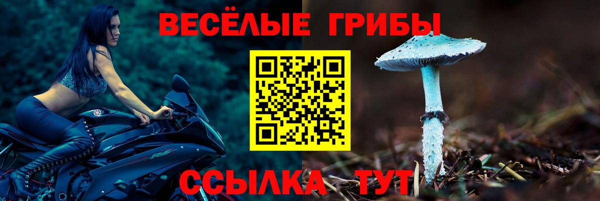 Галлюциногенные грибы мухоморы Симферополь